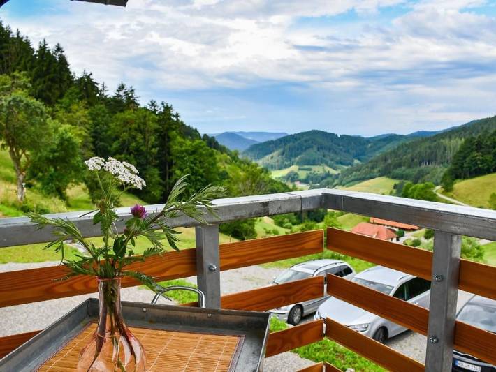 Ferienwohnung für 4 Personen, mit Balkon und Terrasse sowie Sauna und Ausblick in Hausach - 3