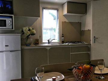 Camping pour 4 Personnes dans Noves, Région d'Arles, Photo 2