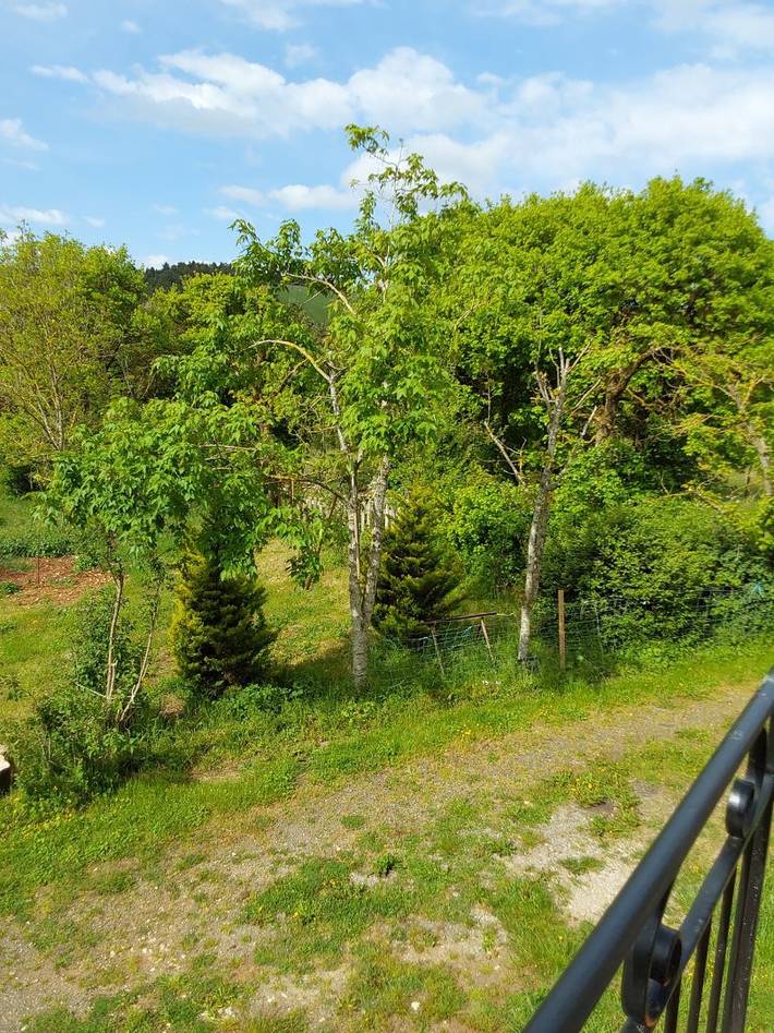 Gîte pour 8 personnes, avec terrasse et jardin, animaux acceptés dans Lozère - 3
