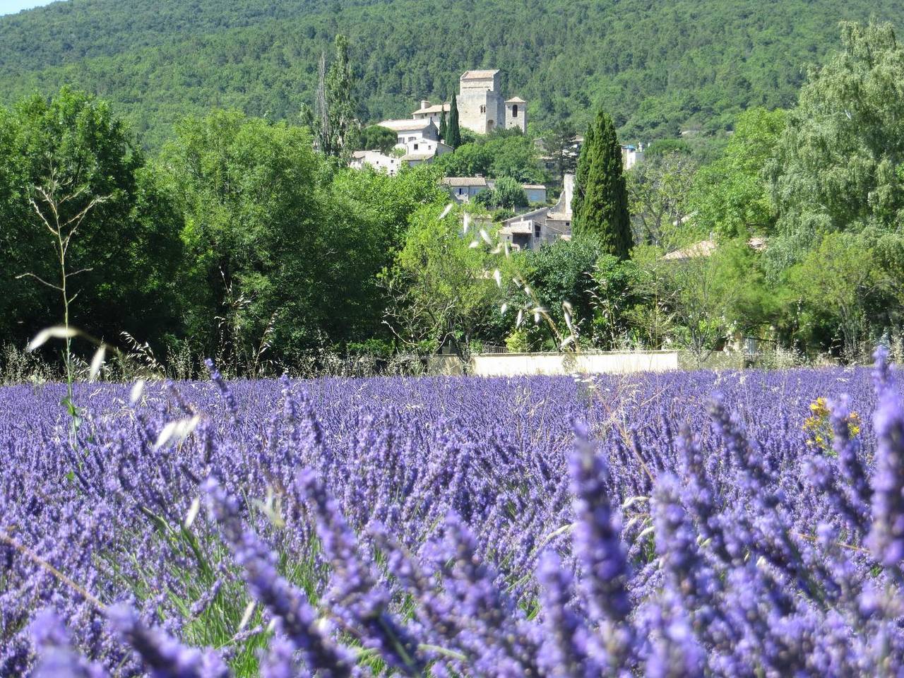 Gîte dla 4 osoby w Le Poët-Laval, Drôme