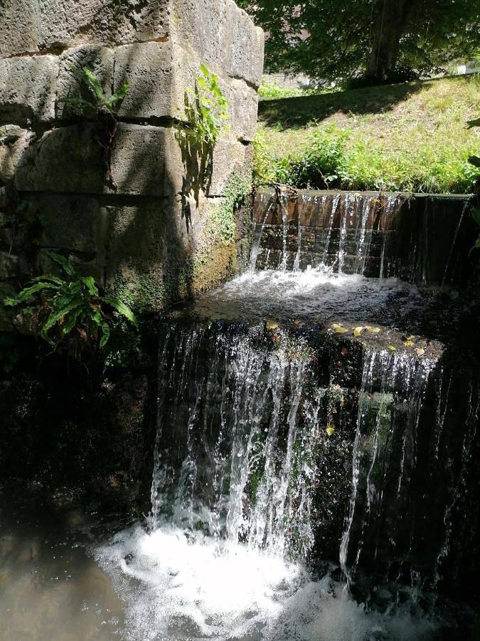Chambre d’hôte pour 2 personnes, avec piscine ainsi que vue et jardin à Saint-Georges-sur-Cher - 2