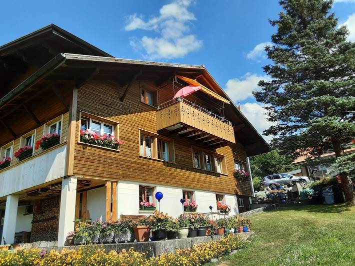 Ferienwohnung für 4 Personen, mit Garten und Ausblick in Hasliberg