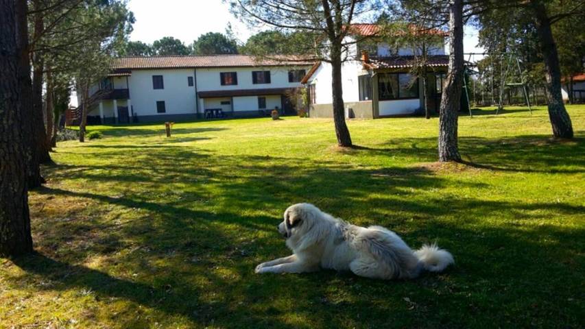 B&b per 3 persone, con Terrazza e Giardino nonché Piscina e Panorama a Montevarchi