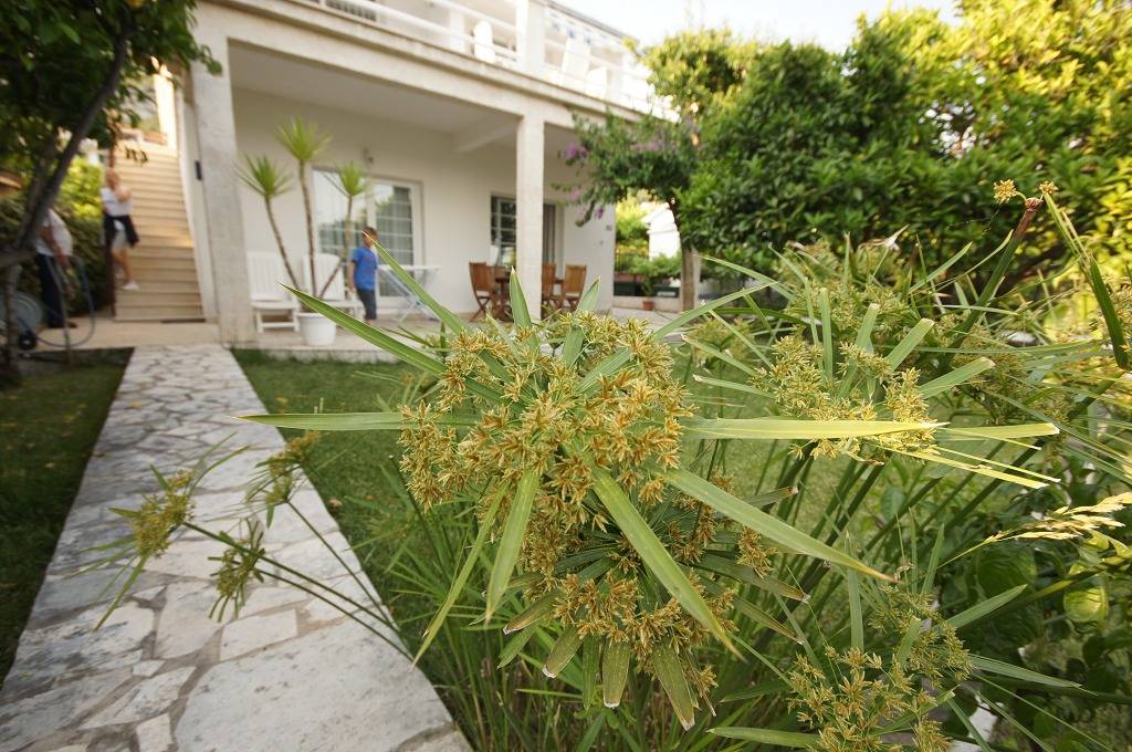 Ganze Wohnung, Ferienwohnung in Viganj mit Meerblick, Terrasse, Klimaanlage, W-Lan (22-1) in Viganj, Peljesac