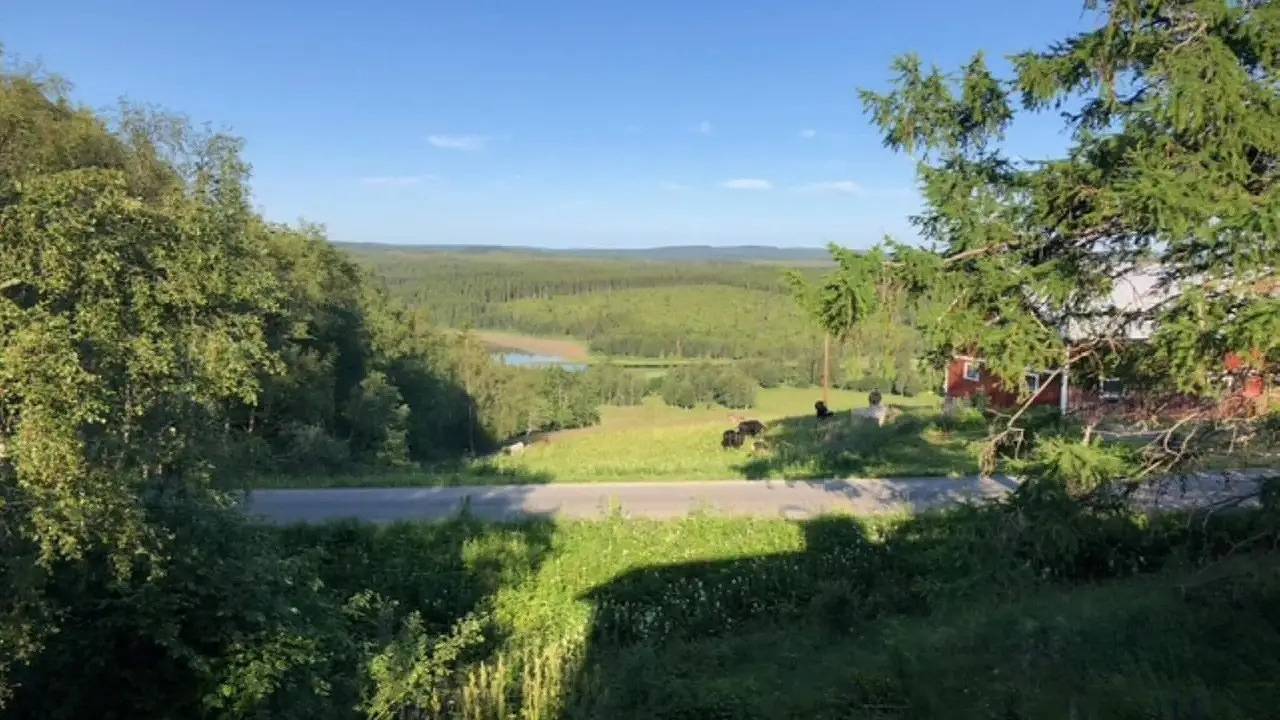 Ferienhaus für 6 Personen (100 m²) in Duved in Jämtland