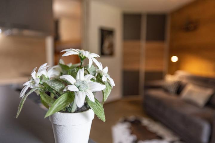 Entire apartment, Apartment 'Studio Haut De Gamme Contamines' with Mountain View and Balcony in Les Contamines-Montjoie, Pays du Mont-Blanc