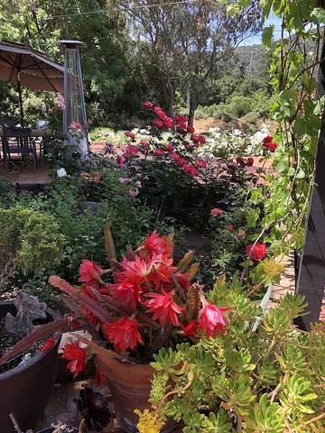 Cottage for 2 People in Carmel Valley, Monterey County, Photo 4