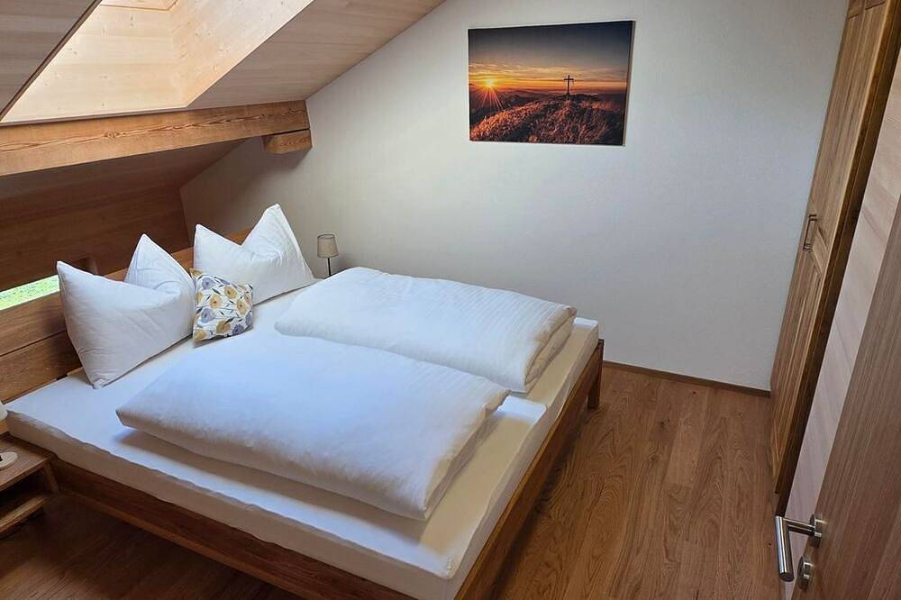 Ganze Wohnung, Top 3 - Johler Appartements 549 in Bezau, Bregenzerwald