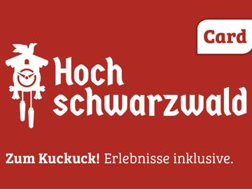 Hotel für 4 Personen in Suedlicher Schwarzwald, Titisee-Neustadt, Bild 3