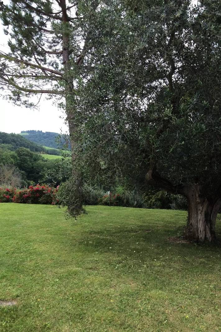Apartamento entero, 3 estancias 5 Personas in Montespertoli, Chianti