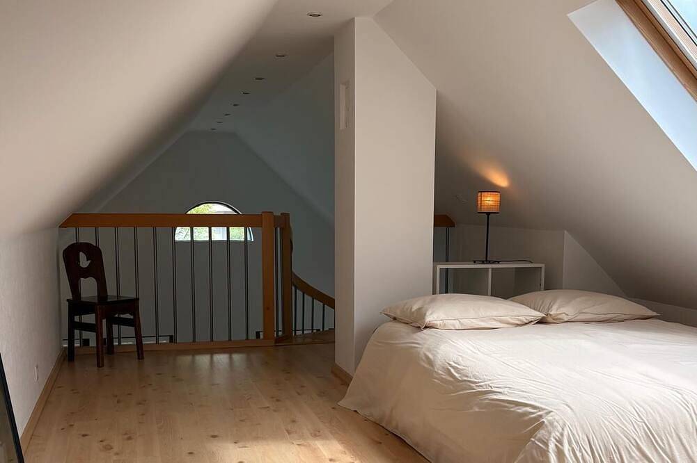 Apartamento entero, Large flat close to the European Instititions and Christmas Market in Estrasburgo, Región de Estrasburgo