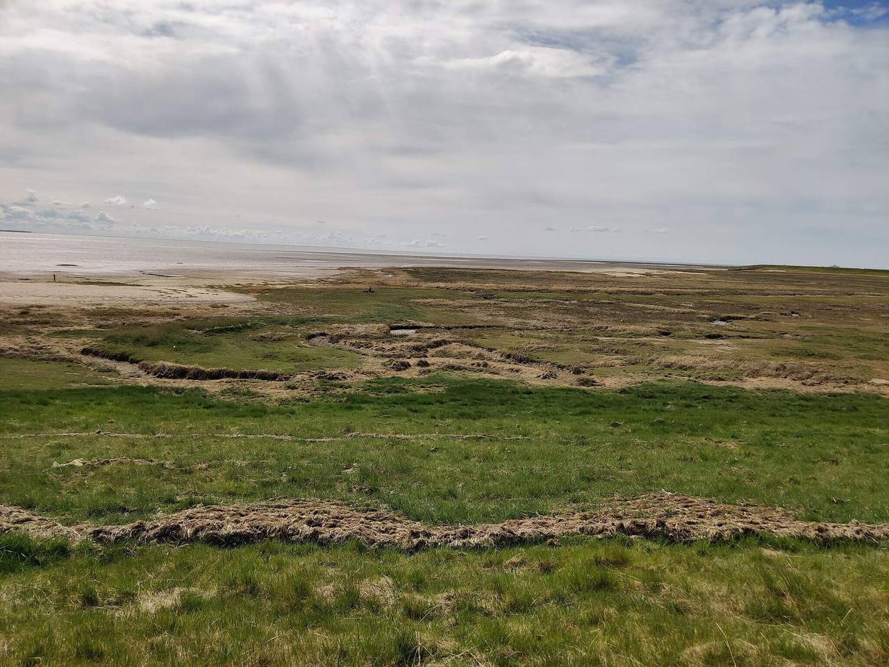 4 Personen Ferienhaus in Rømø in Sønderstrand, Havneby