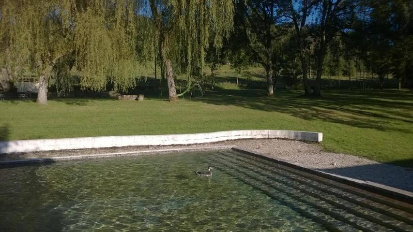 Gîte pour 3 personnes, avec jardin, animaux acceptés dans Lac de la Mouche - 4