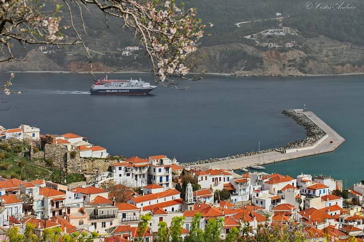 Villa Avaton mit herrlichem Meerblick und Skopelos-Stadt in Skopelos Stadt, Sporaden