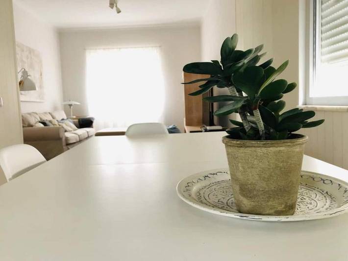 Gîte pour 6 personnes, avec Terrasse à Montijo