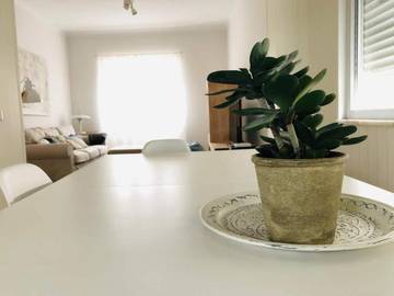 Gîte pour 6 personnes, avec terrasse à Montijo