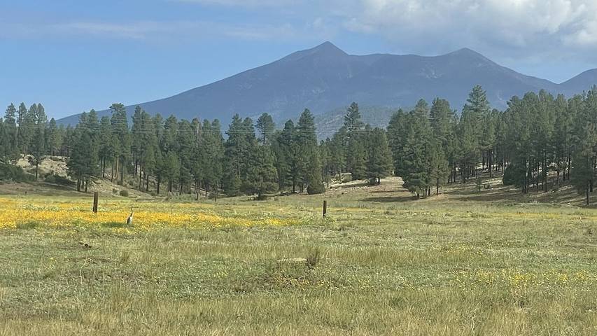 Log cabin for 6 people, with terrace in Flagstaff