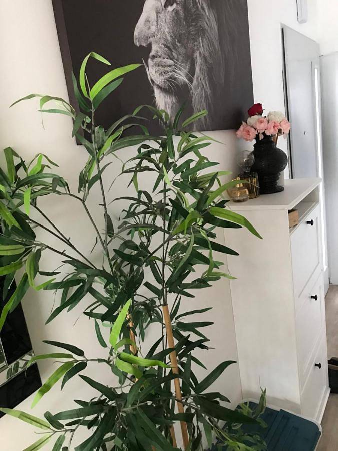 Appartement de vacances pour 7 personnes, avec terrasse et piscine, animaux acceptés