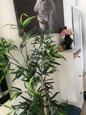 Gîte pour 7 personnes, avec terrasse et piscine, animaux acceptés à Saint-Pierre-de-Varengeville