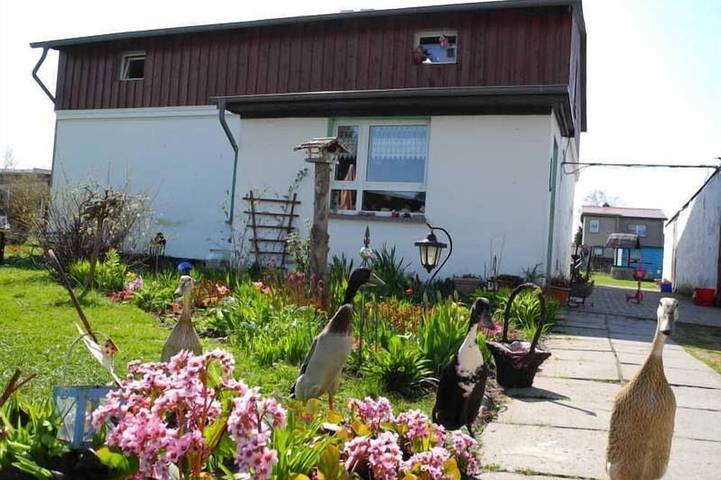 Ferienwohnung für 4 Personen, mit Garten - 1