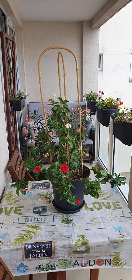 Apartamento de vacaciones para 6 personas, con balcón y vistas - 1