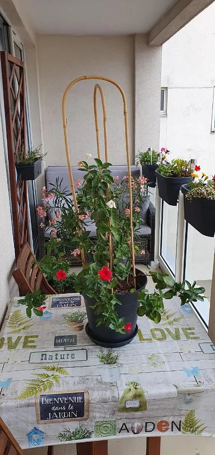 Ferienwohnung für 6 Personen, mit Ausblick und Balkon - 1