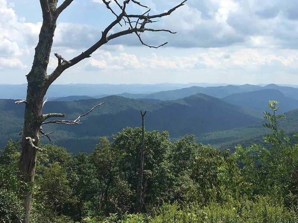 Downtown Brevard Hideaway Steps from Main St Restaurants-Dog Friendly, Fenced in Brevard, Transylvania County