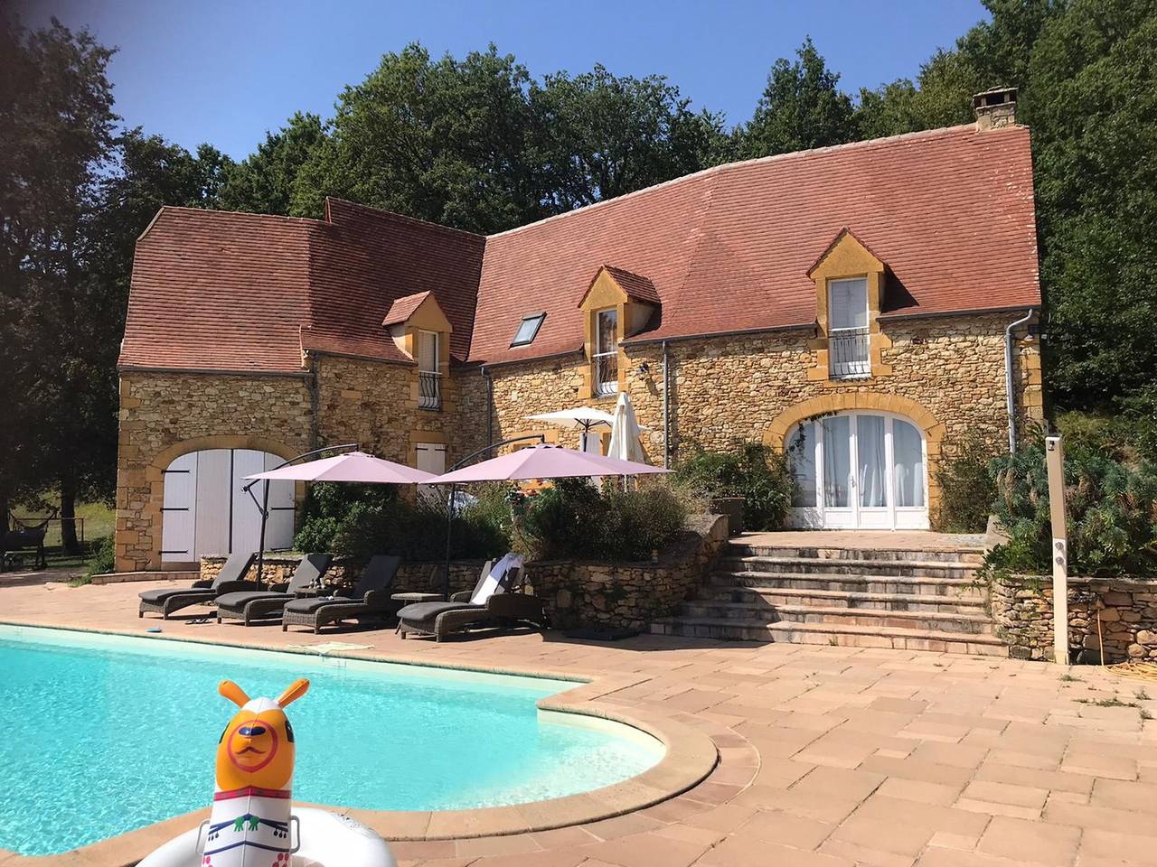 Luxury secluded chateau with pool and hot tub in Beynac-et-Cazenac, Périgord Noir