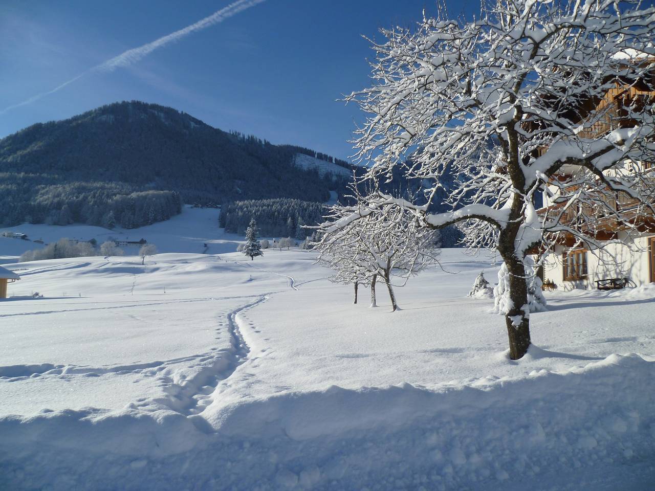 Ganze Ferienwohnung, Ferienwohnungen Hollweger inkl. Chiemgaukarte - 3 Appartement 23qm, Balkon, Kochnische, 1 Wohnschlafzimmer, max. 2 Pers, Wlan in Ruhpolding, Bayerische Alpen