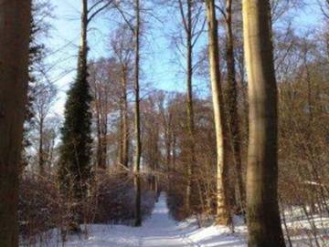 Ferienpark für 5 Personen, mit Terrasse und Garten, kinderfreundlich in Koserow