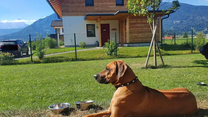 Ferienhaus für 6 Personen, mit Garten, mit Haustier in Nötsch im Gailtal - 3