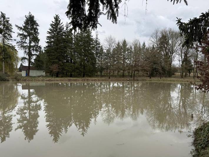 Location de vacances pour 6 personnes, avec terrasse et jardin, animaux acceptés à Montrieux-en-Sologne - 4