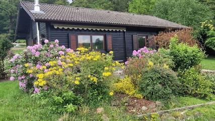 Ferienhaus für 5 Personen in Erbach im Odenwald, Odenwaldkreis, Bild 4