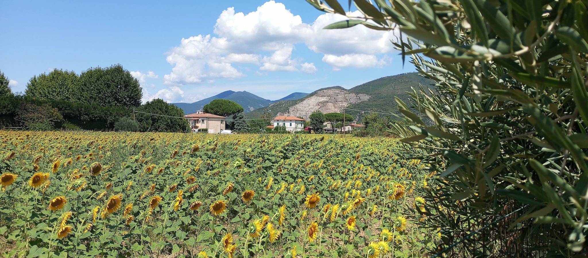 Maison de vacances 'Casa Rosa Cascina' avec jardin privé et Wi-Fi in Cascina, Province de Pise