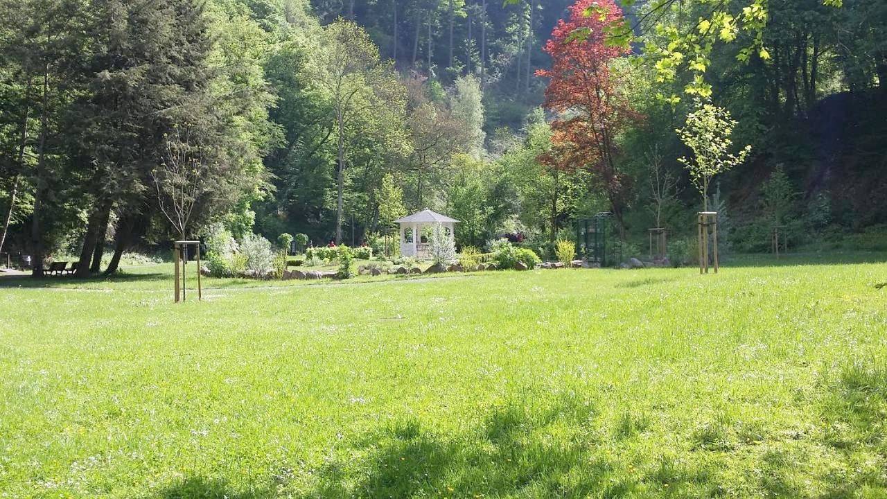 Kurhotel Quellenhof in Bad Bertrich, Traben-Trarbach et ses environs
