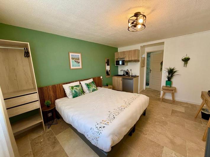 Gîte pour 2 personnes, avec vue ainsi que piscine et terrasse, animaux acceptés à Saint-Laurent-d'Aigouze - 4