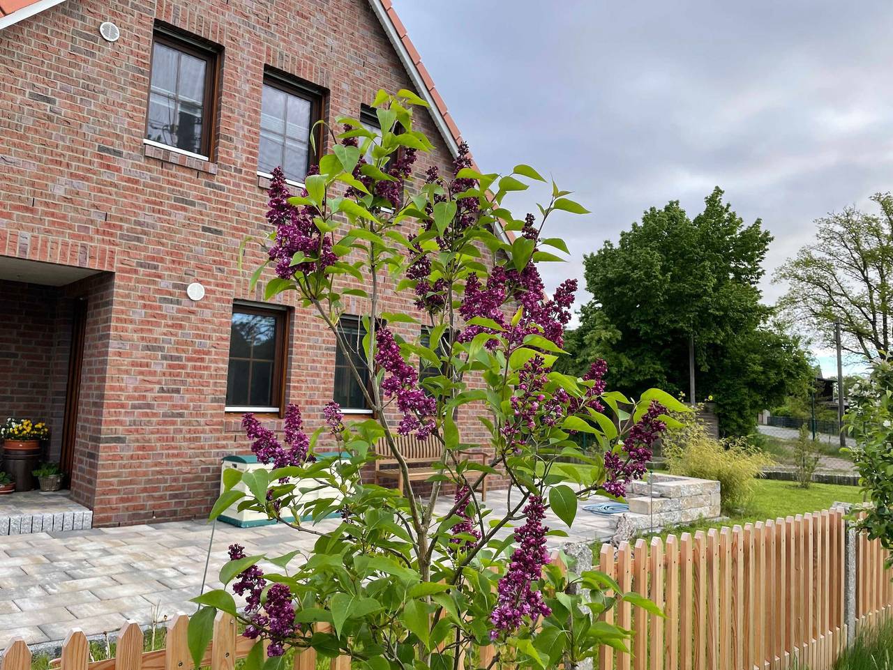 Ganze Ferienwohnung, Ferienwohnung - Fewo  Lachmöwe in Grambin, Stettiner Haff