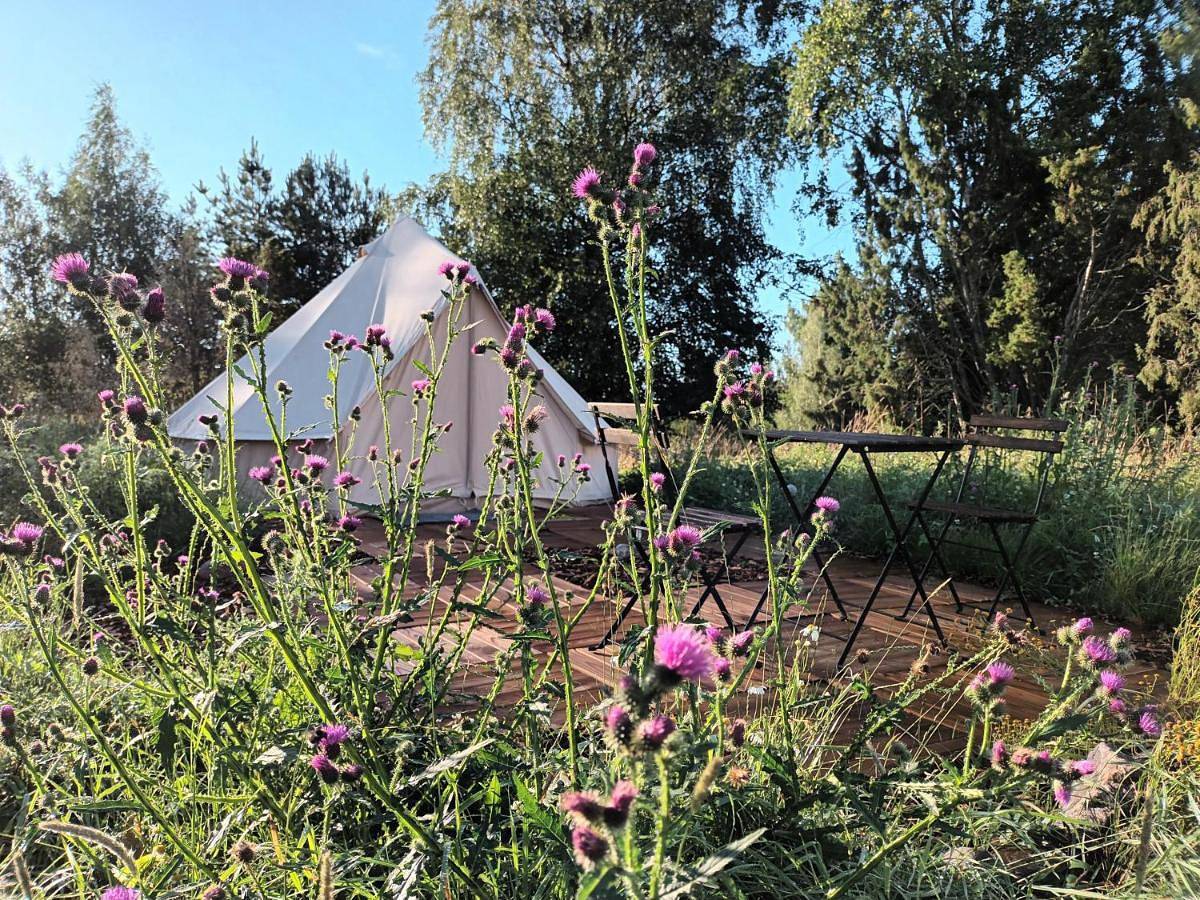 Glamping Kotitila Kiveinen in Finlandia Południowo-Zachodnia