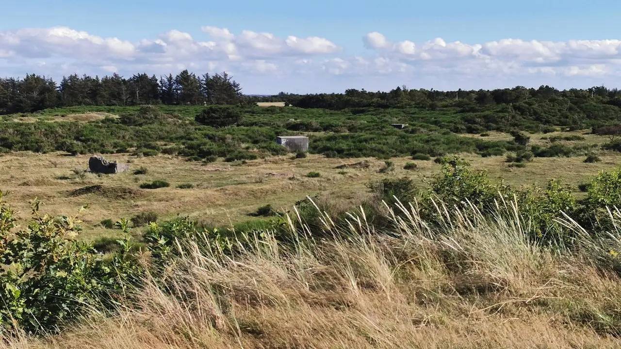 Ferienhaus für 6 Personen (72 m²) in Skjern in Skjern, Ringkøbing Fjord