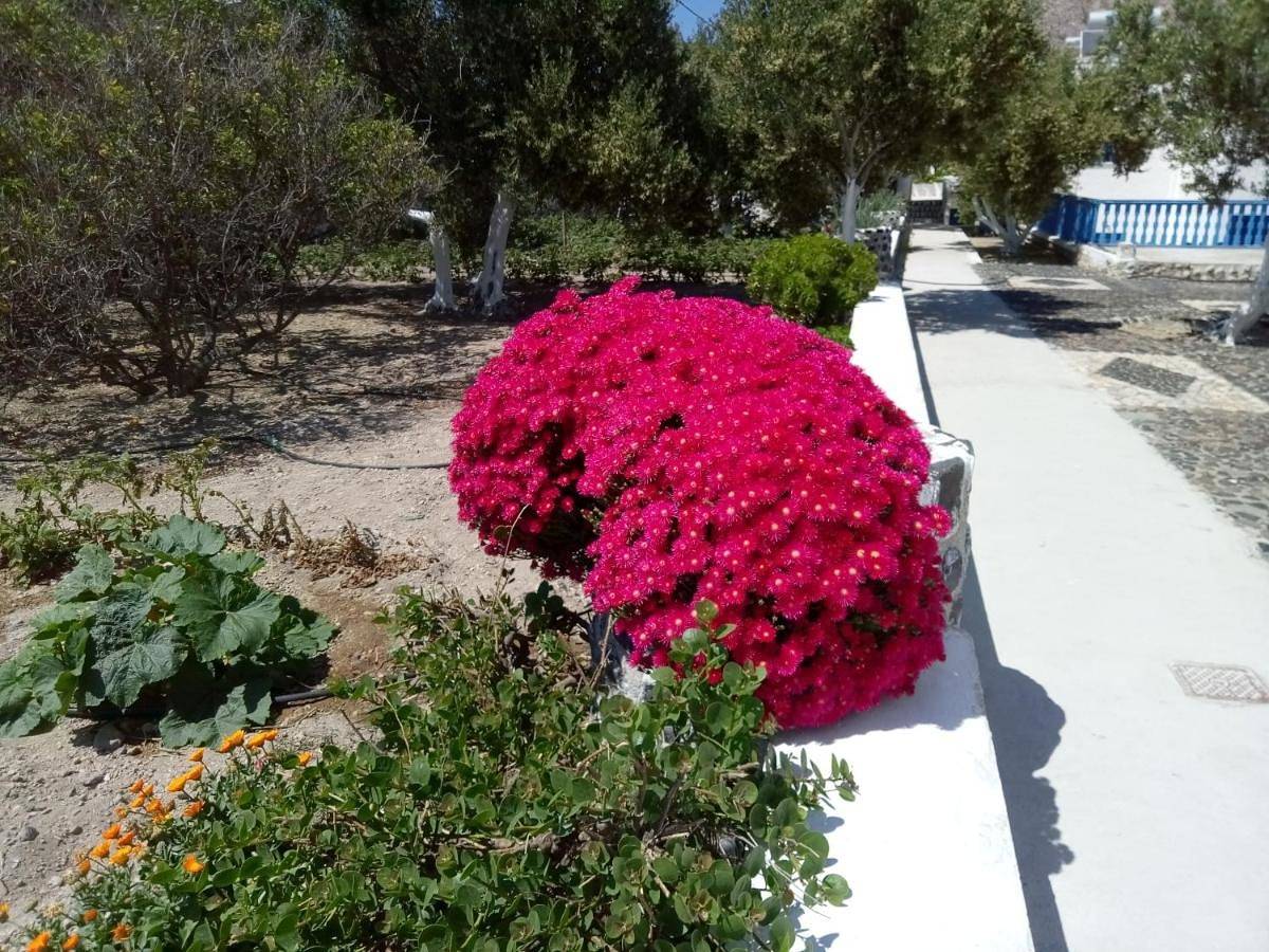 Hotel Perissa in Emporio, Santorin