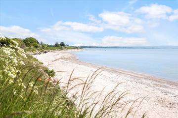 Ferienwohnung für 4 Personen, mit Terrasse auf Møn