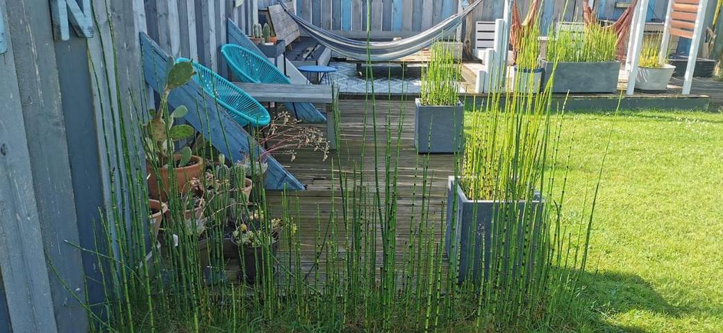 Location de vacances pour 10 personnes, avec piscine ainsi que jardin et jacuzzi, adapté aux familles à Roézé-sur-Sarthe - 2