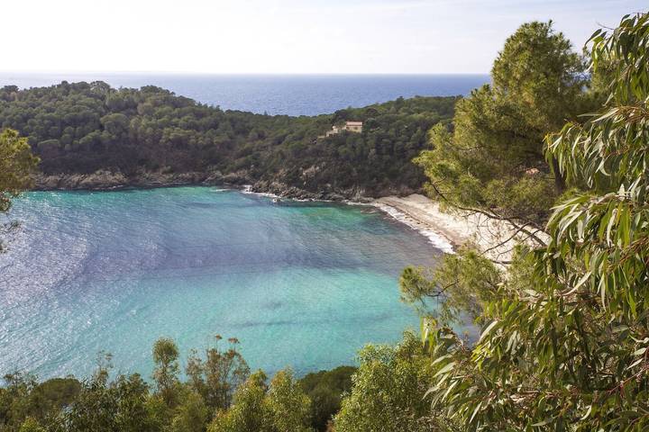 Ferienwohnung für 3 Personen, mit Terrasse, mit Haustier auf Elba - 2