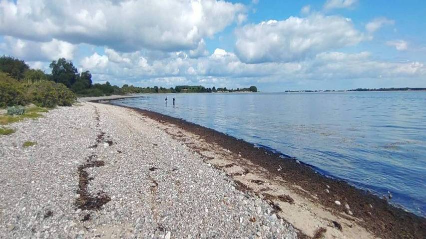 Ferienhaus für 5 Personen, mit Whirlpool und Garten sowie Sauna, mit Haustier in Flovt Strand - 2