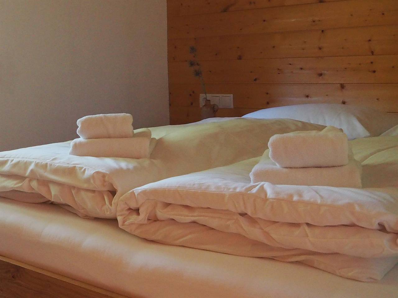 Ganze Ferienwohnung, Älmele Lodge in Rätikon Gebirgsgruppe, Brand