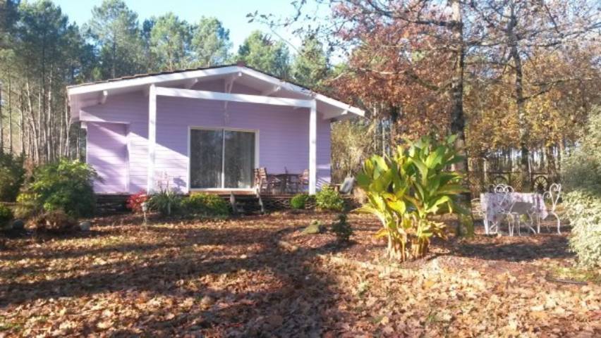 Maison de vacances pour 2 personnes, avec jardin en Gironde - 4