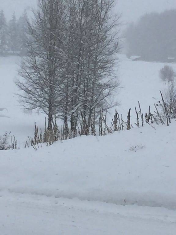 Vacation rental for 5 people, with terrace and pool as well as yard in Sun Valley ID