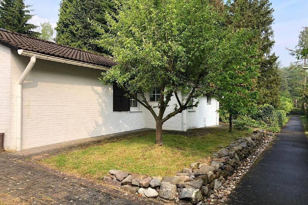 Natur Pur am Venekotensee in Niederkrüchten, Niederrhein