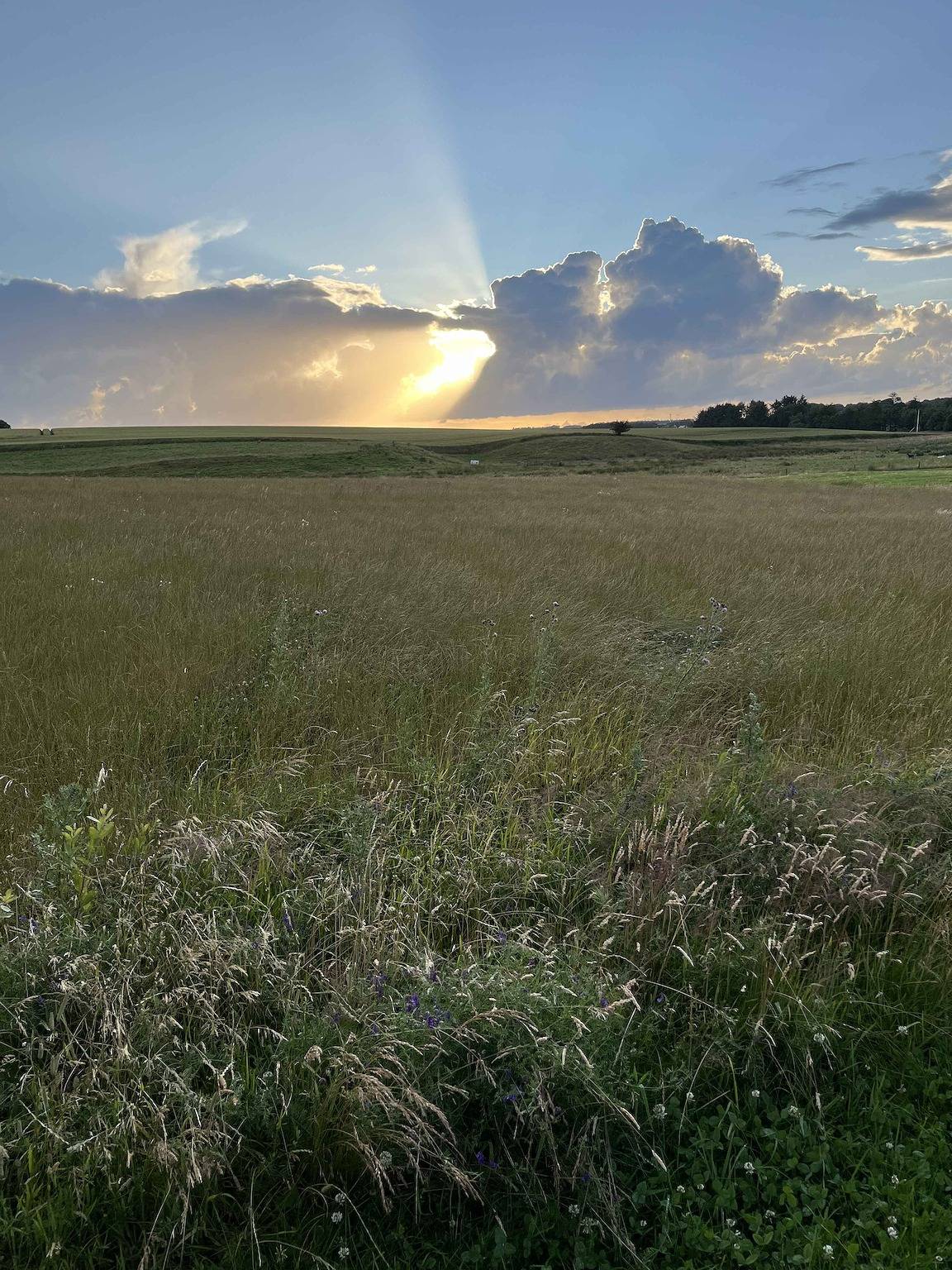 Schönes Ferienhaus in der Nähe des Limfjords in Thyholm, Oddesund