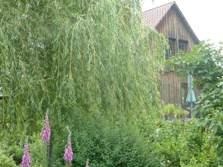 Ferienwohnung für 4 Personen, mit Terrasse und Garten sowie Ausblick in Brotterode-Trusetal